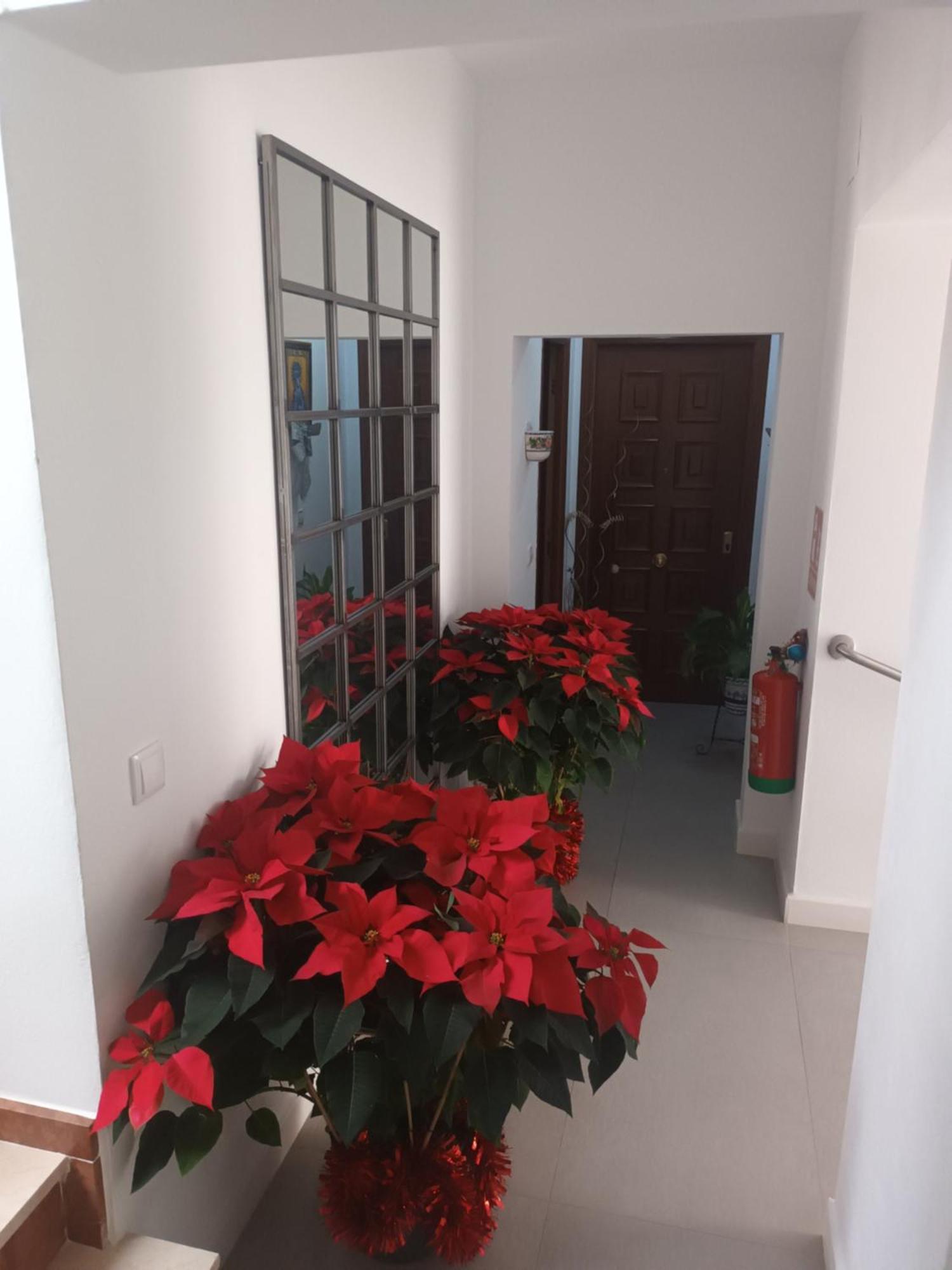 Appartement Casa San Mateo